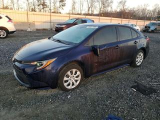 Toyota Corolla at auction